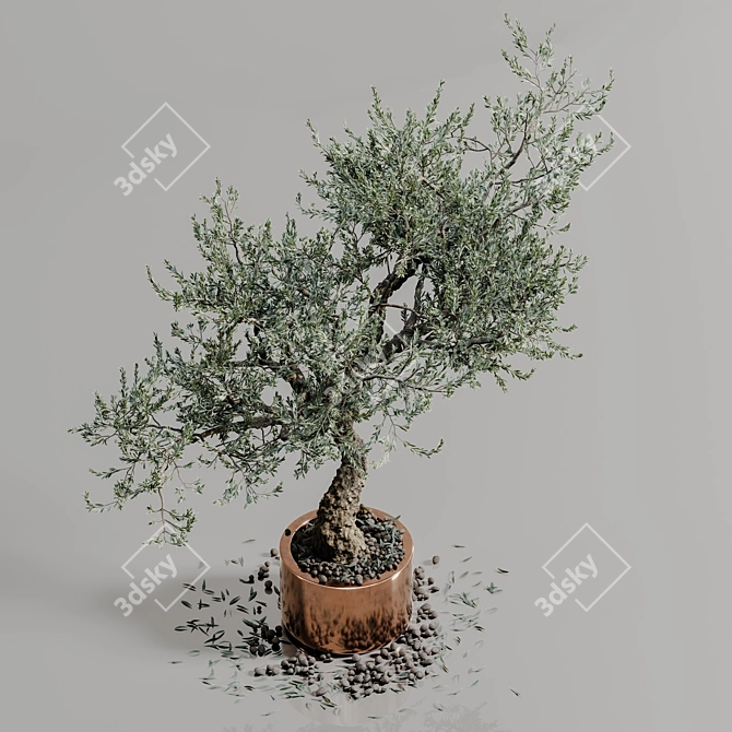 Bonsai Plant Model 3D Render 3D model image 6