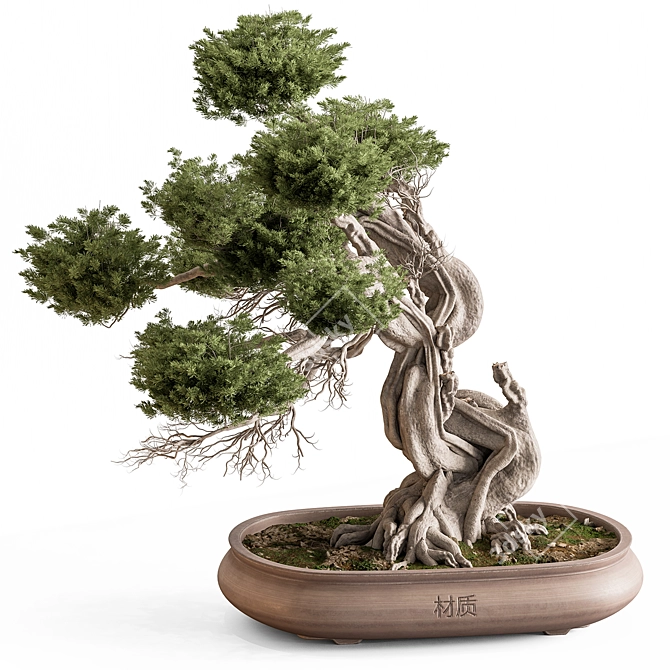 Bonsai Plant 754  Indoor 3D model image 1