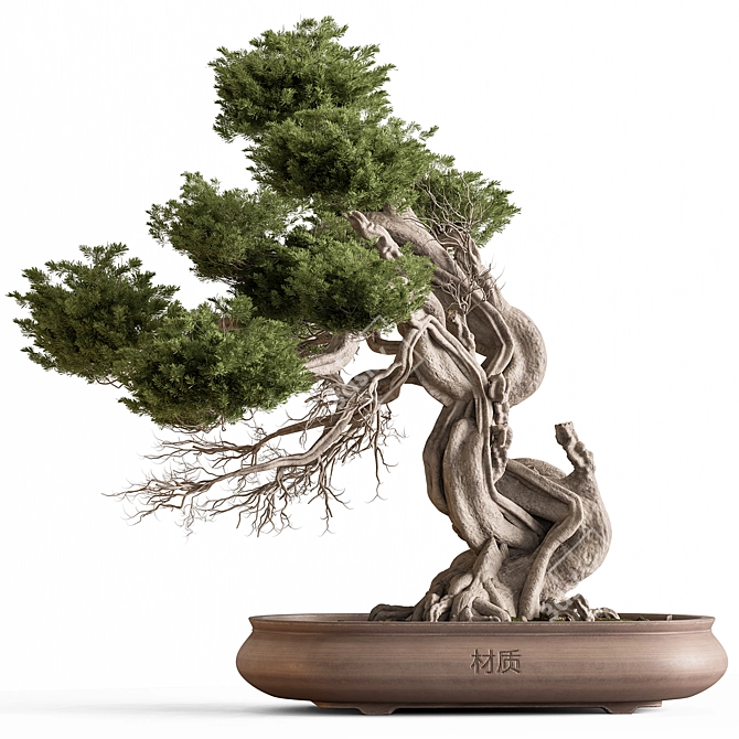 Bonsai Plant 754  Indoor 3D model image 2