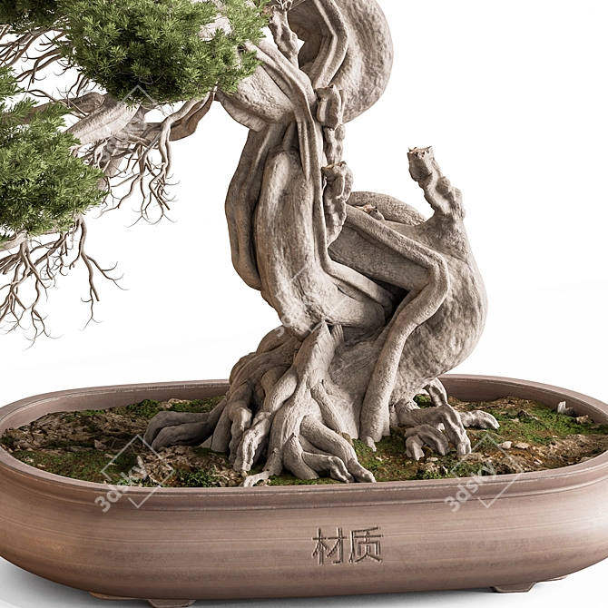 Bonsai Plant 754  Indoor 3D model image 3