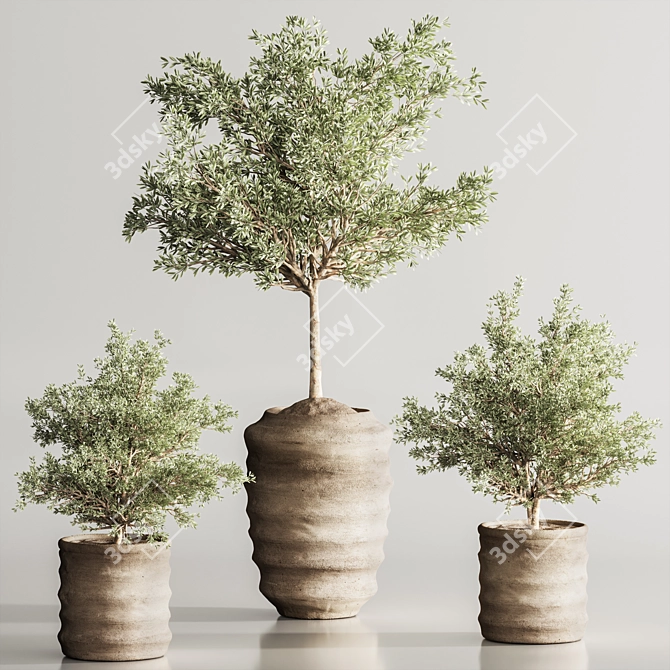 Modern Olive Indoor Plant Set 3D model image 3