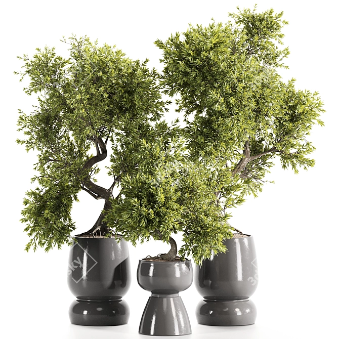 High-Quality Indoor Plants Set 3D model image 1