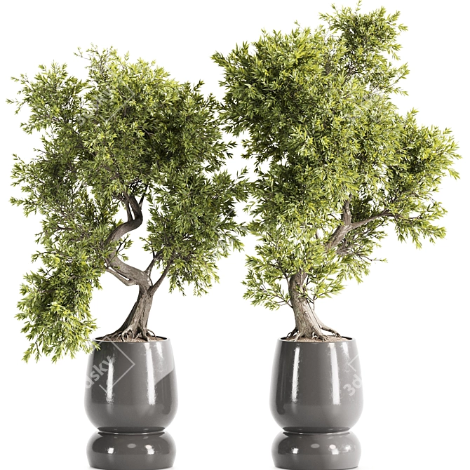 High-Quality Indoor Plants Set 3D model image 3