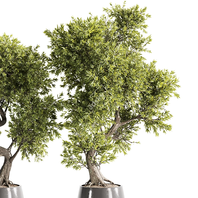 High-Quality Indoor Plants Set 3D model image 4