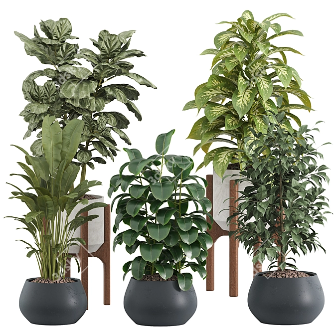 Modern Indoor Plant Set 2018 3D model image 1