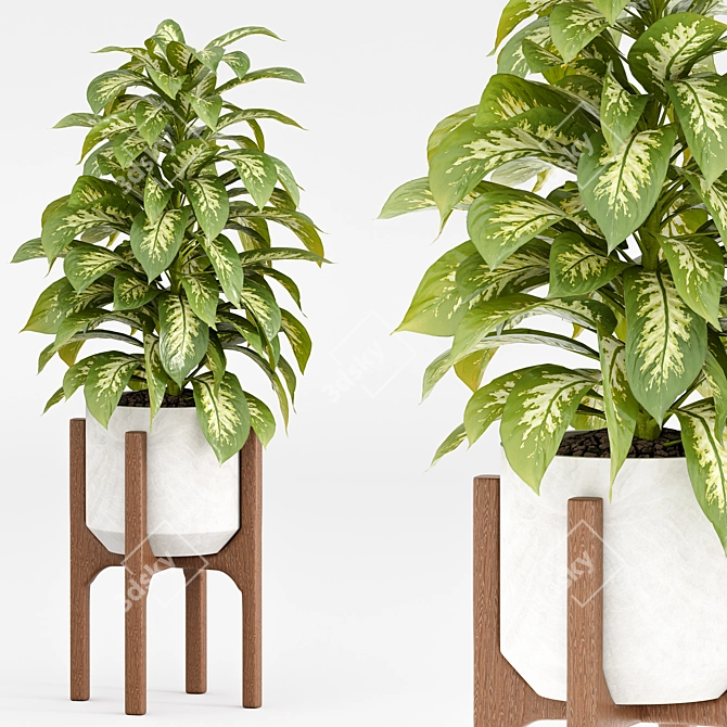 Modern Indoor Plant Set 2018 3D model image 2