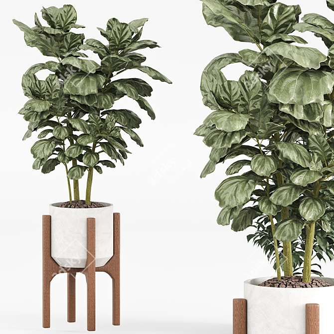 Modern Indoor Plant Set 2018 3D model image 3