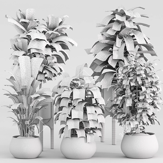 Modern Indoor Plant Set 2018 3D model image 7