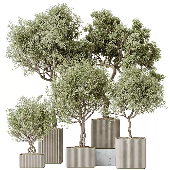 Exquisite Indoor Plant Set 95 3D model image 1