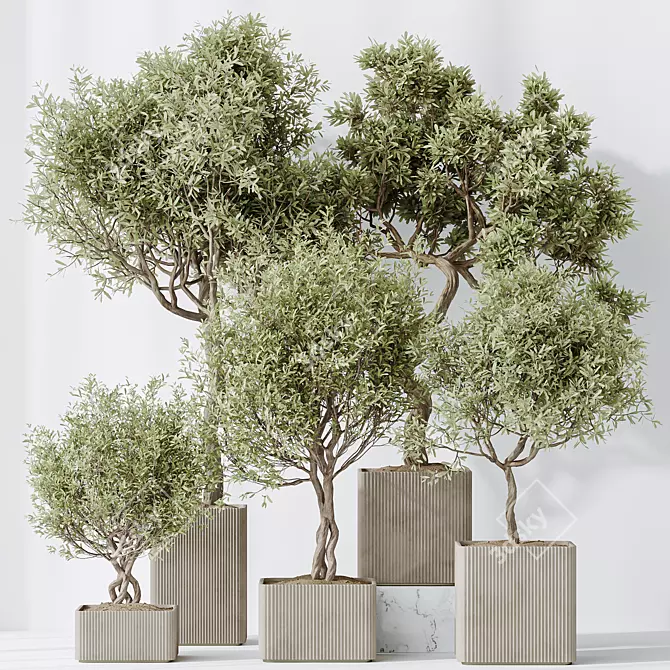 Exquisite Indoor Plant Set 95 3D model image 2