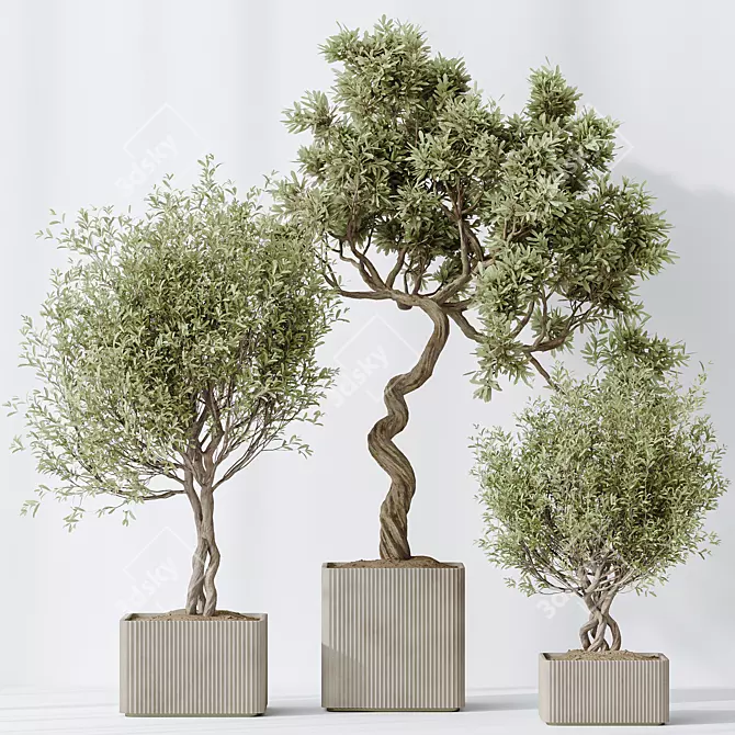 Exquisite Indoor Plant Set 95 3D model image 3