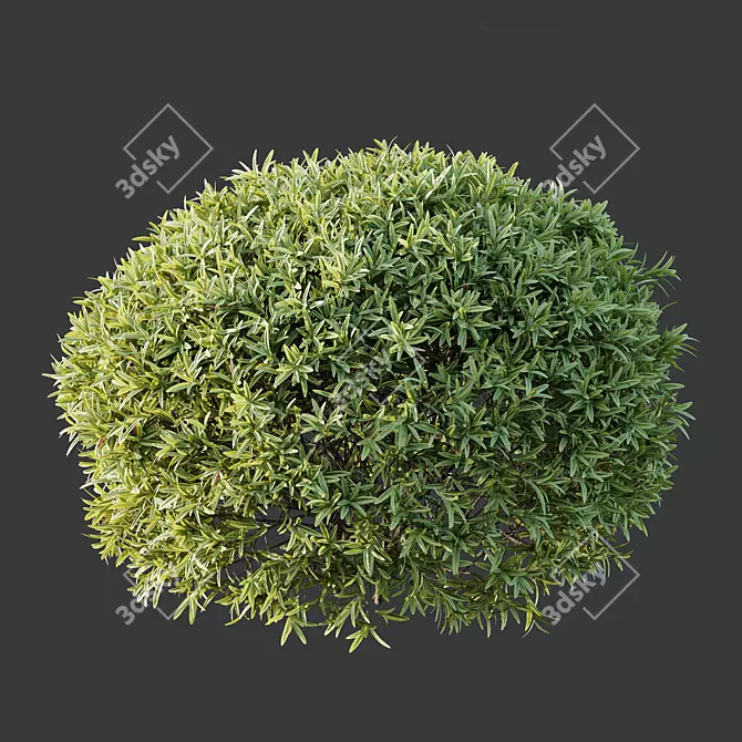 Exotic 3D Plant Models Collection 3D model image 3