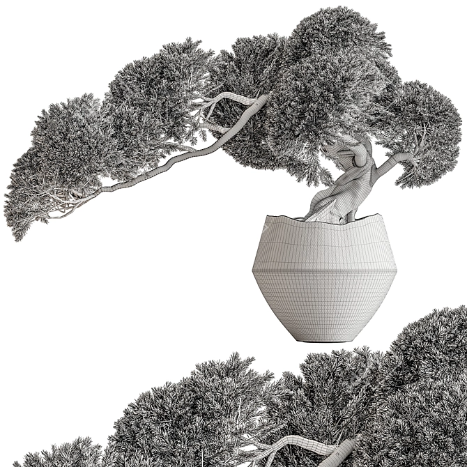 Zen Bonsai Tree in Pot 3D model image 3