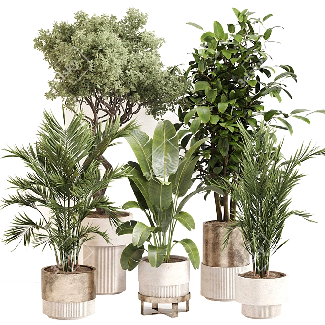 Modern Indoor Plant Set 0118 3D model image 1