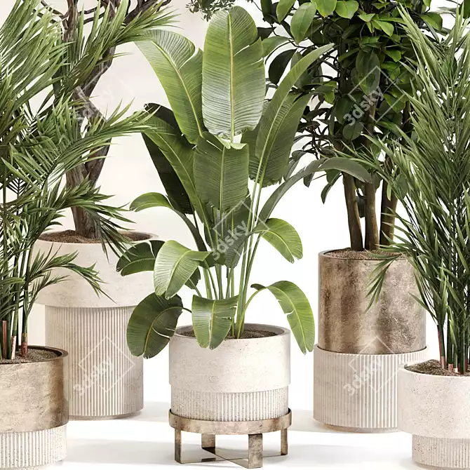 Modern Indoor Plant Set 0118 3D model image 2