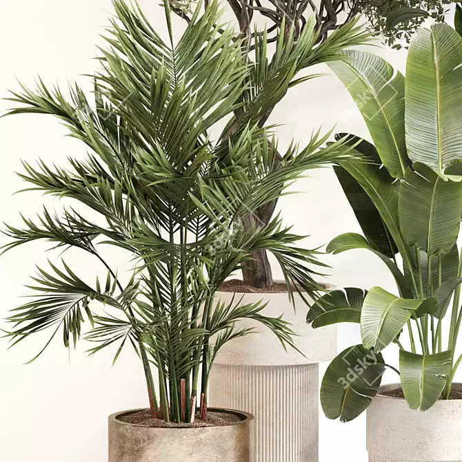 Modern Indoor Plant Set 0118 3D model image 3