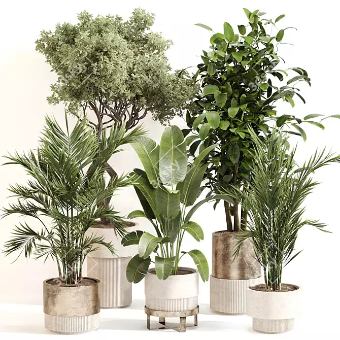 Modern Indoor Plant Set 0118 3D model image 6