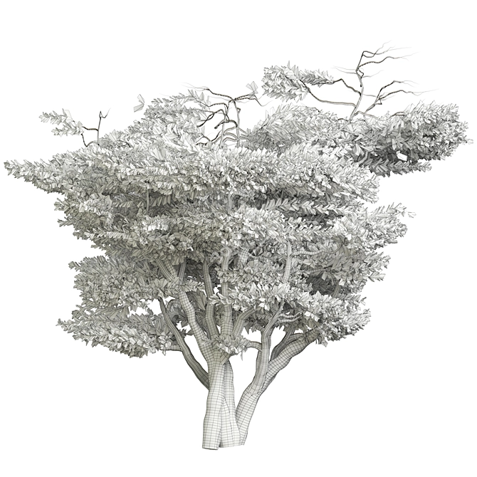 Tree Vol 18 3D Models 3D model image 3