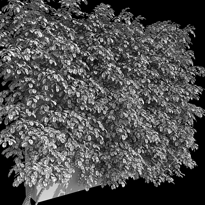 Actinidia Vine Plant Model - 3.4m 3D model image 5