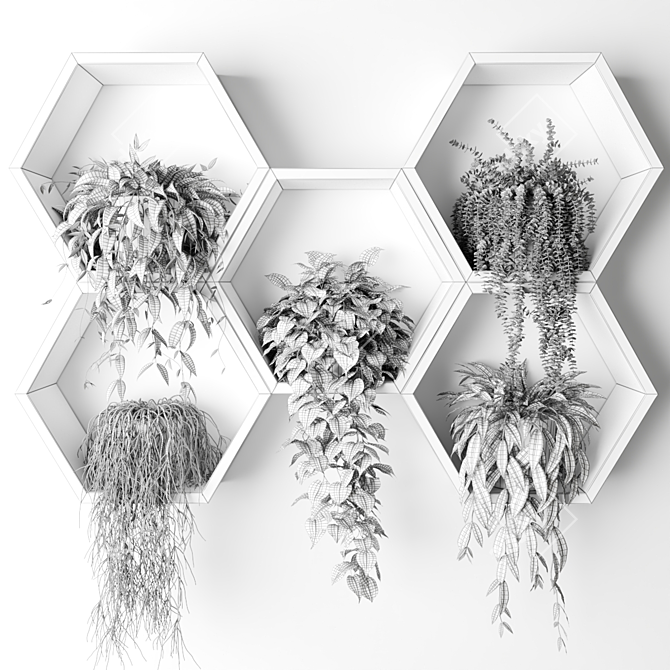 Hexagon Wall Planters with Hanging Plants 3D model image 4