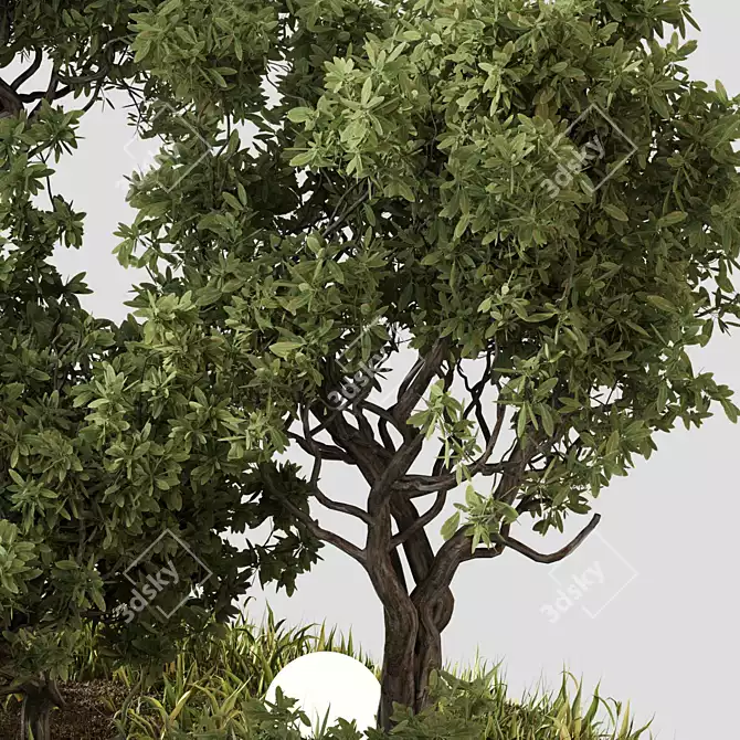 Outdoor Plant Set 07: Versatile 3D Plants 3D model image 3