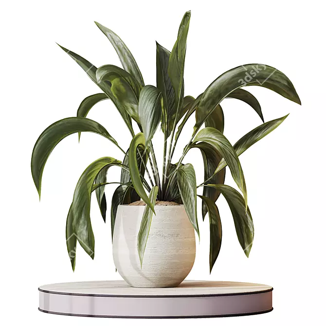 Variegated Peace Lily Domino Set 3D model image 2