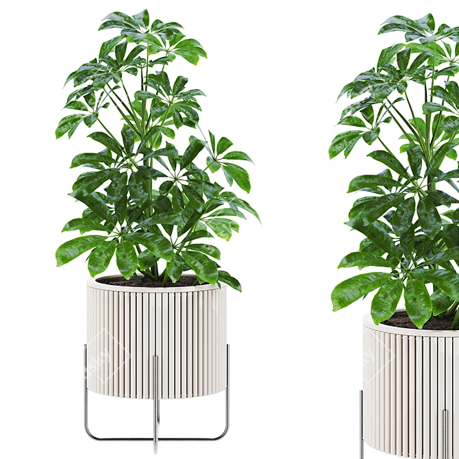 Vibrant Plants Set 3D Model 3D model image 1