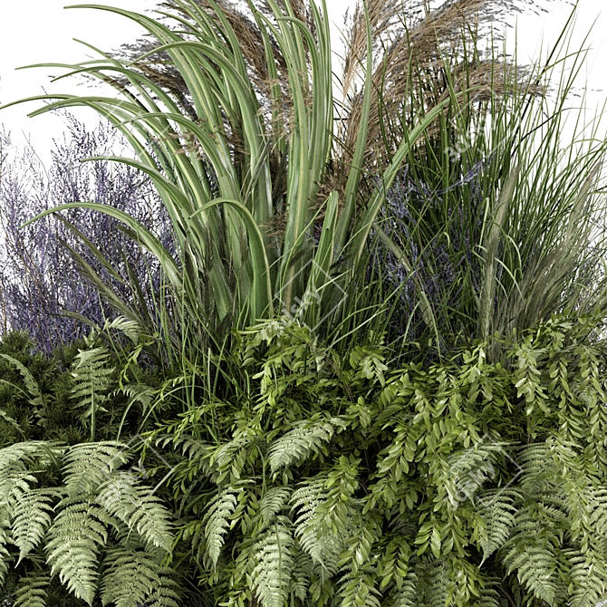 Outdoor Plants Collection Set 2303 3D model image 4