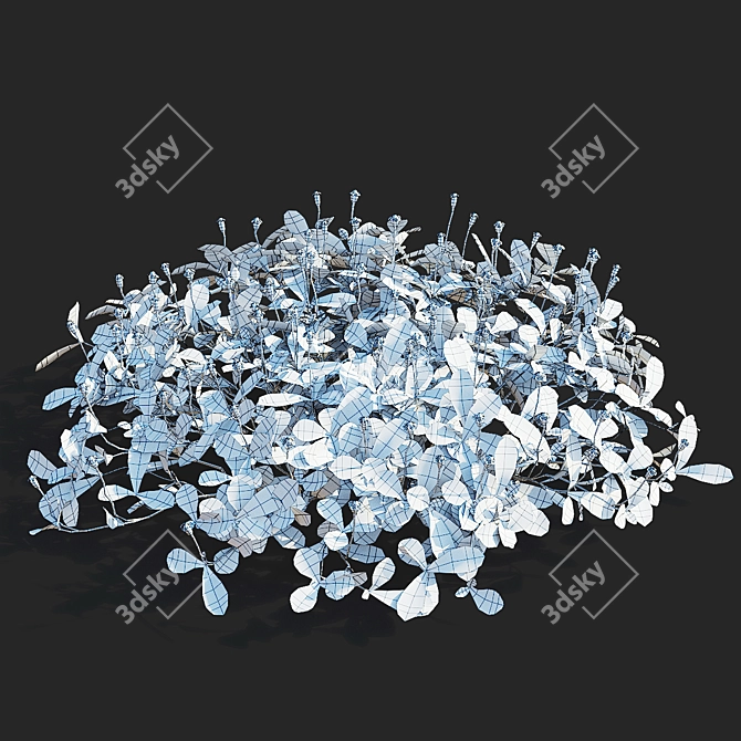 Phyla Nodiflora Branches and Bushes 3D model image 3