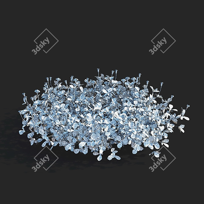 Phyla Nodiflora Branches and Bushes 3D model image 10