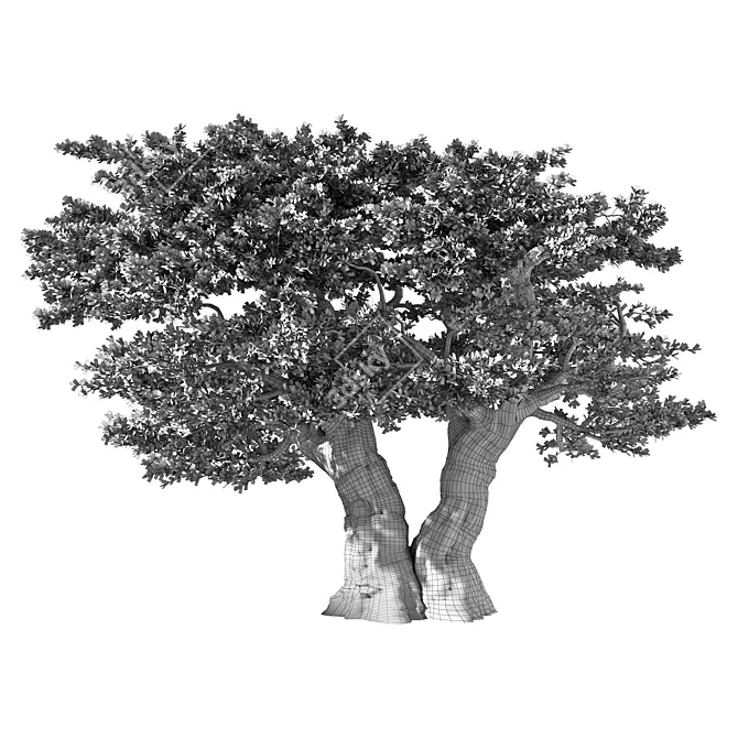 Majestic Olive Tree Figurine 3D model image 4