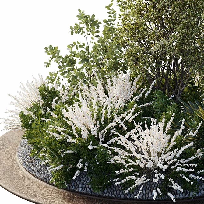 Outdoor Garden Plants Collection 3D model image 4