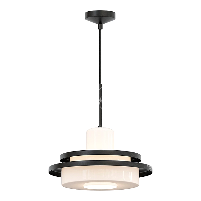 Elegant Glass Pendant Lamp 3D model image 1