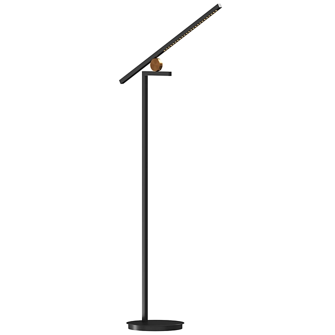 Elegant Black Metal Floor Lamp 3D model image 1