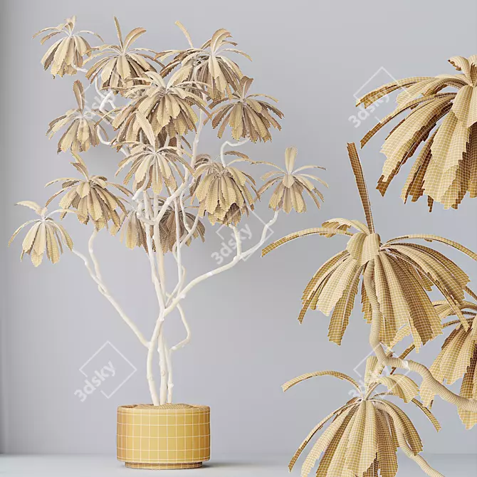 Lush Birchbark Fig Plant Model 3D model image 4