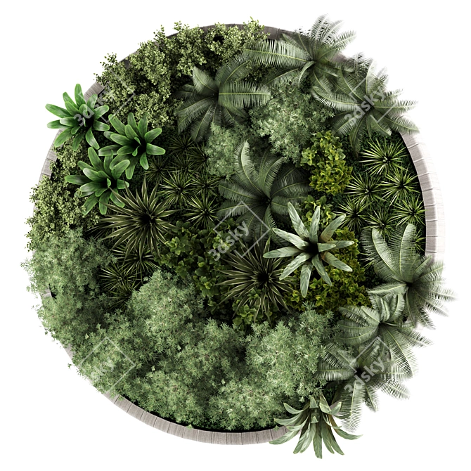 Designer Circle Wall Plant Frame 3D model image 3