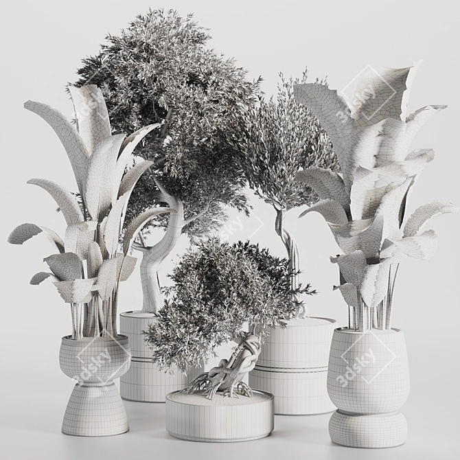 High-Quality Indoor Plants Set 3D model image 6