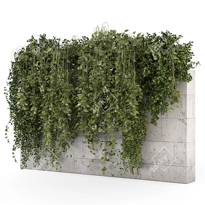 Concrete Wall Hanging Plant Set 3D model image 3