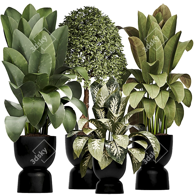 Detailed Indoor Plant 3D Model 3D model image 1