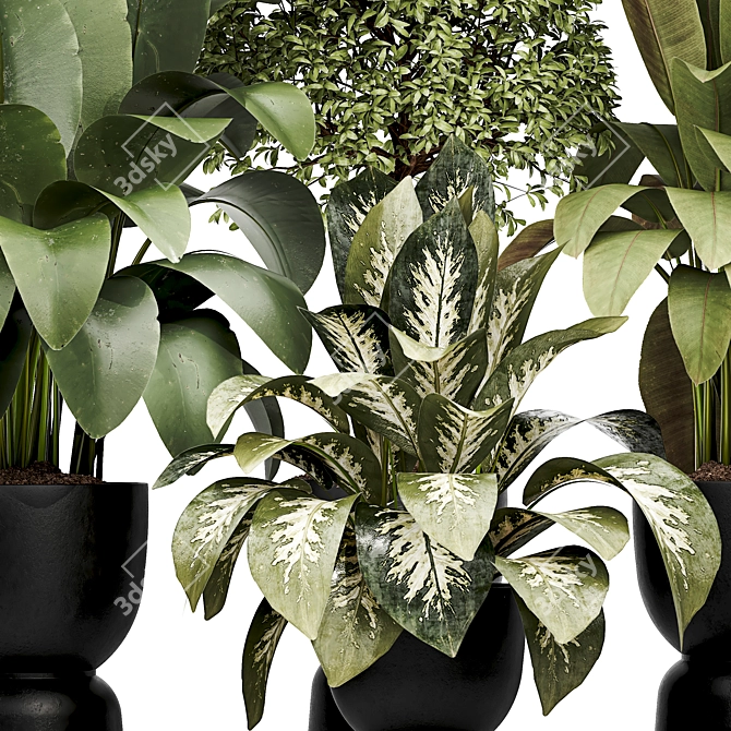 Detailed Indoor Plant 3D Model 3D model image 3