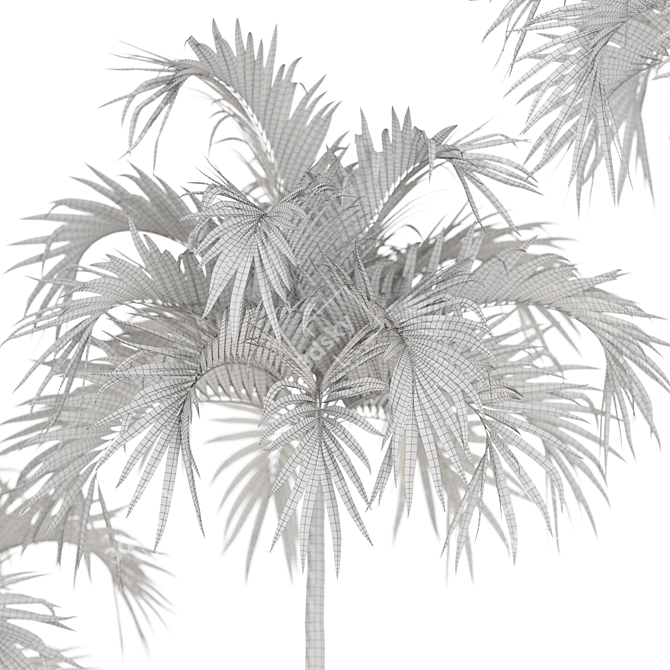 Tropical Christmas Palm Tree Model 3D model image 4