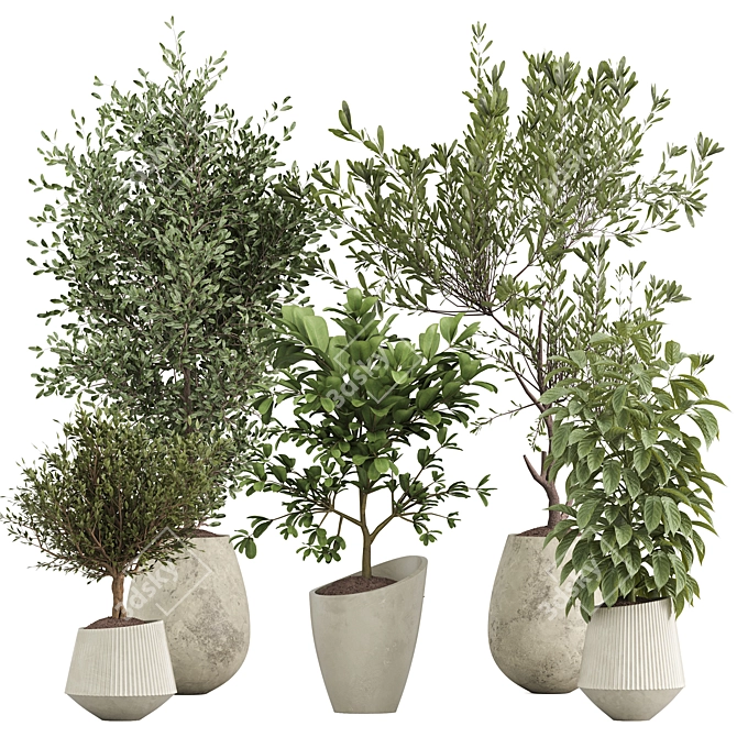 Diverse Indoor Plants Set 3D model image 1