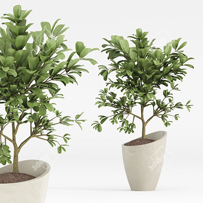 Diverse Indoor Plants Set 3D model image 5