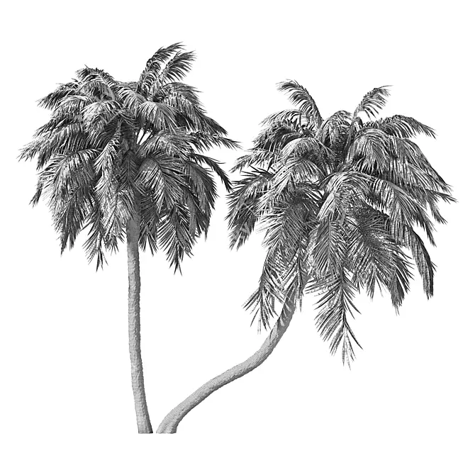 Tropical Palm Tree Home Decor 3D model image 4