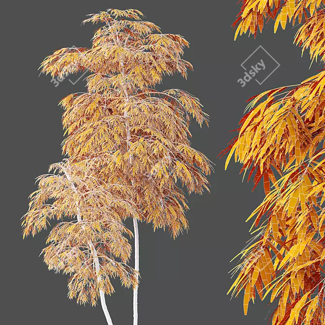 Therapeutic Bamboo Tree Models Pack 3D model image 5