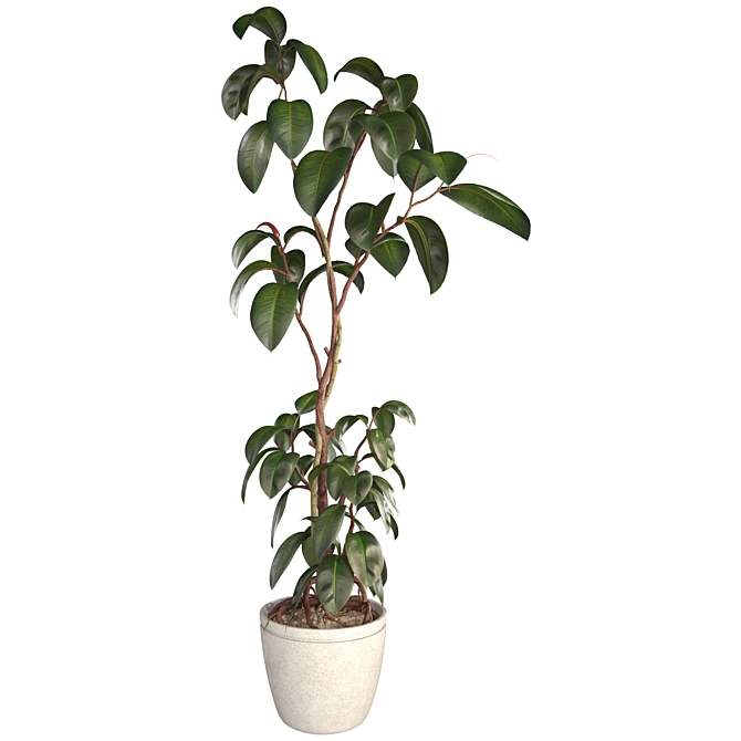 3D Plant & Decor Collection 3D model image 1