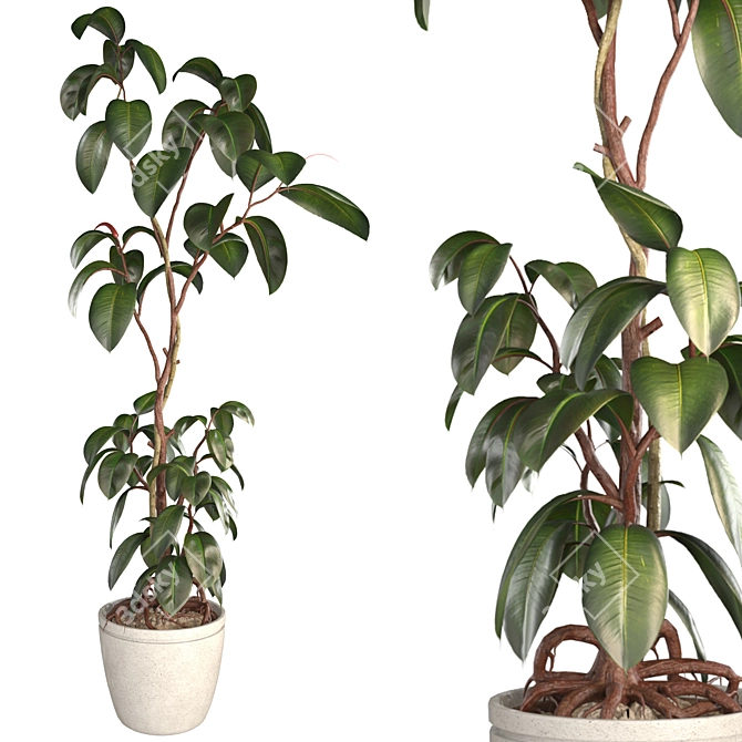 3D Plant & Decor Collection 3D model image 3