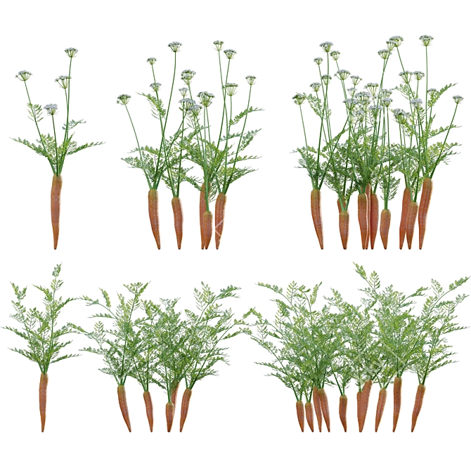 Diverse 3D Plant Models Collection 3D model image 1