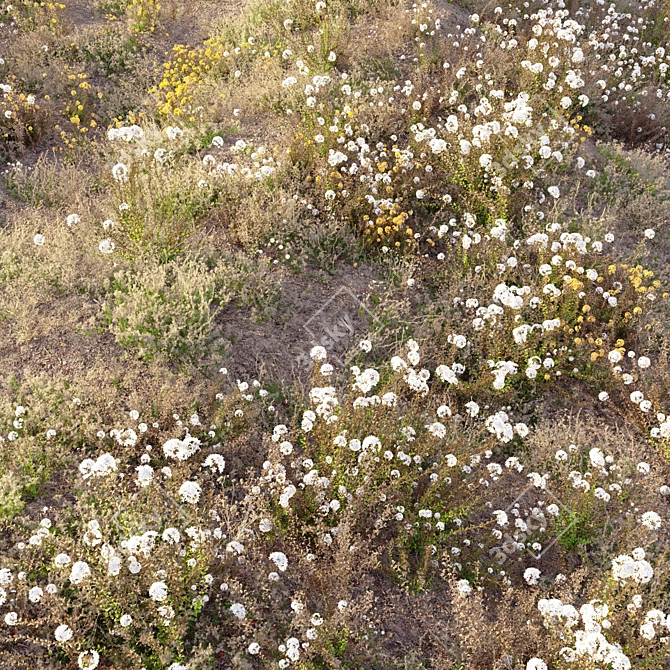 Lush Meadow Scene Set 3D model image 2