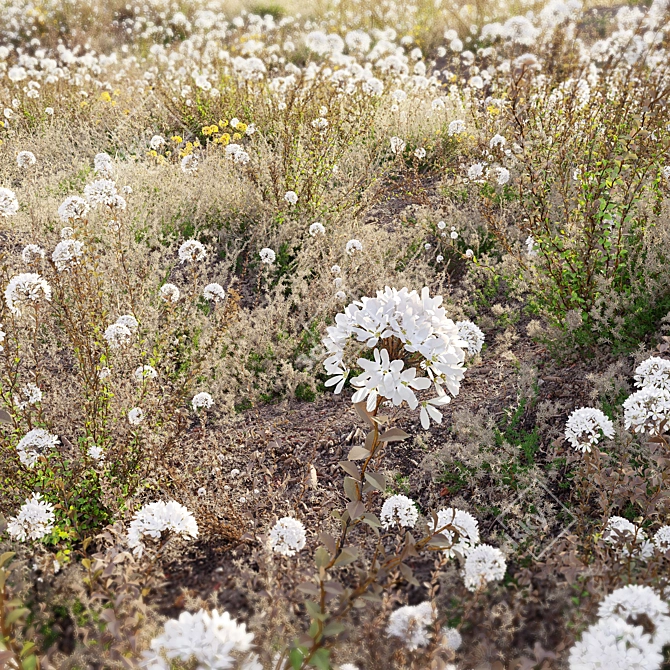 Lush Meadow Scene Set 3D model image 3